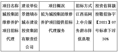 城投集團維修養(yǎng)護項目招標(biāo)代理計劃公告