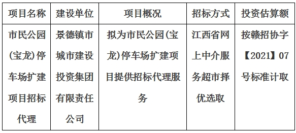 市民公園(寶龍)停車場擴建項目招標(biāo)代理計劃公告