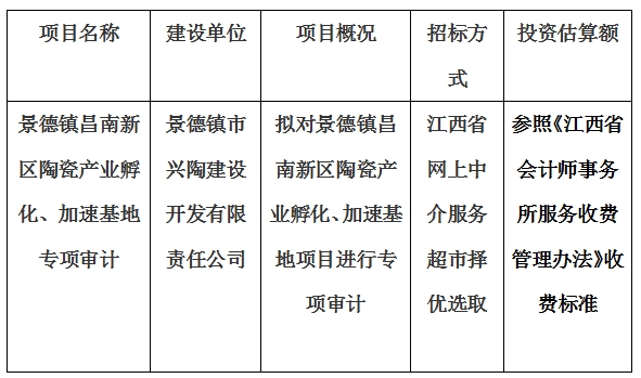 景德鎮(zhèn)市興陶建設(shè)開發(fā)有限責(zé)任公司加速基地及孵化基地專項審計項目計劃公告